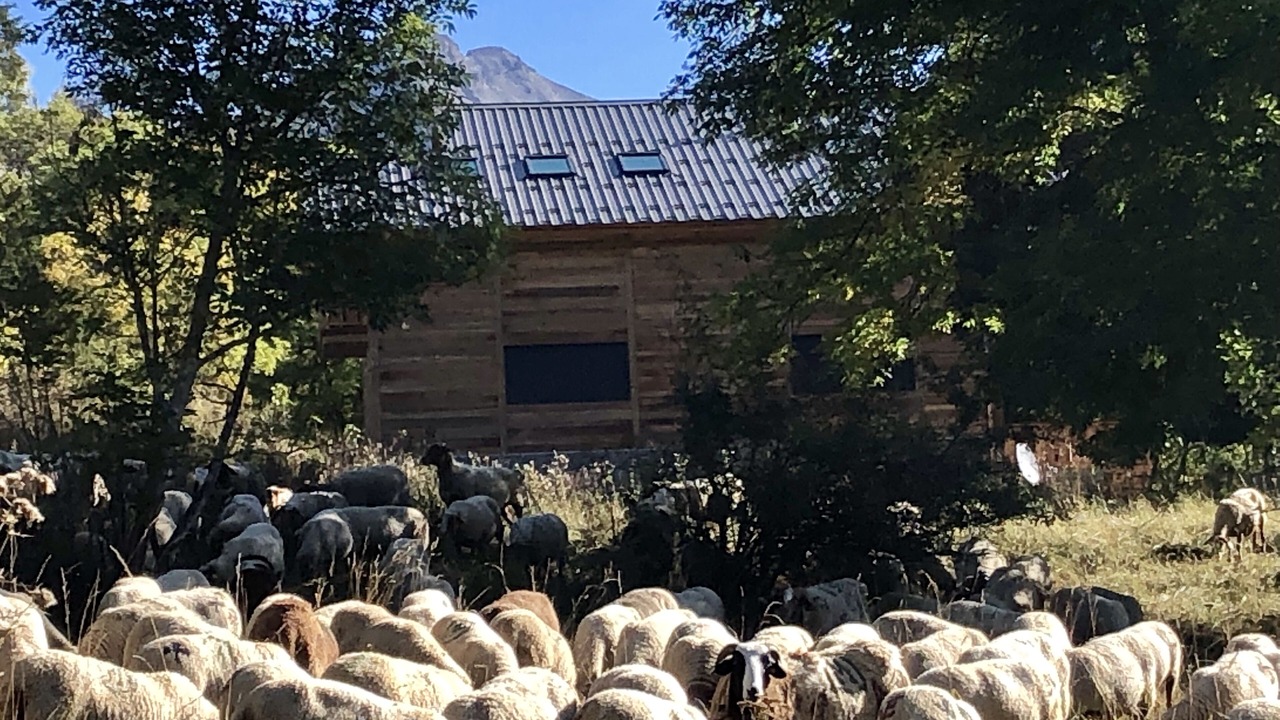 Photo of Outdoor in Allos
