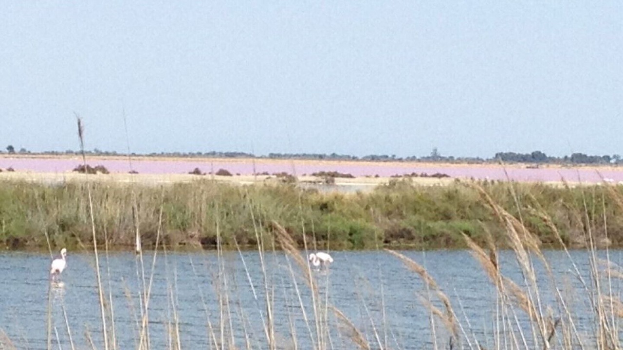 Photo of Others in Moulezan