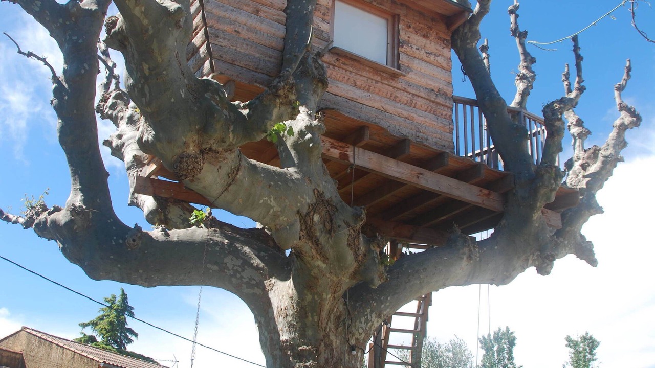 Photo of Outdoor in Salon-de-Provence