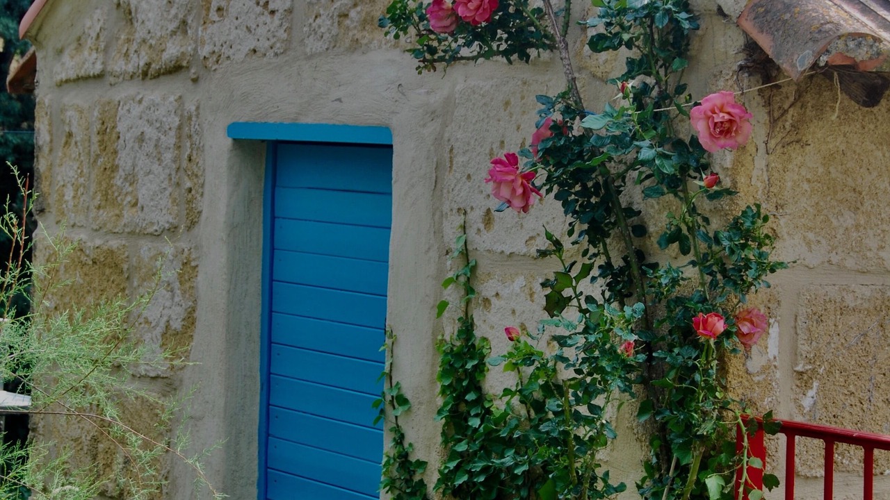 Photo of Outdoor in Salon-de-Provence