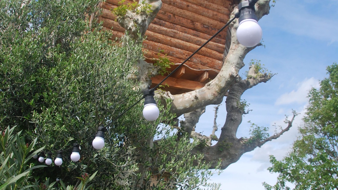 Photo of Others in Salon-de-Provence