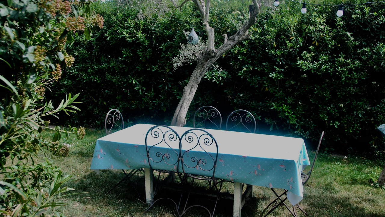 Photo of Outdoor in Salon-de-Provence