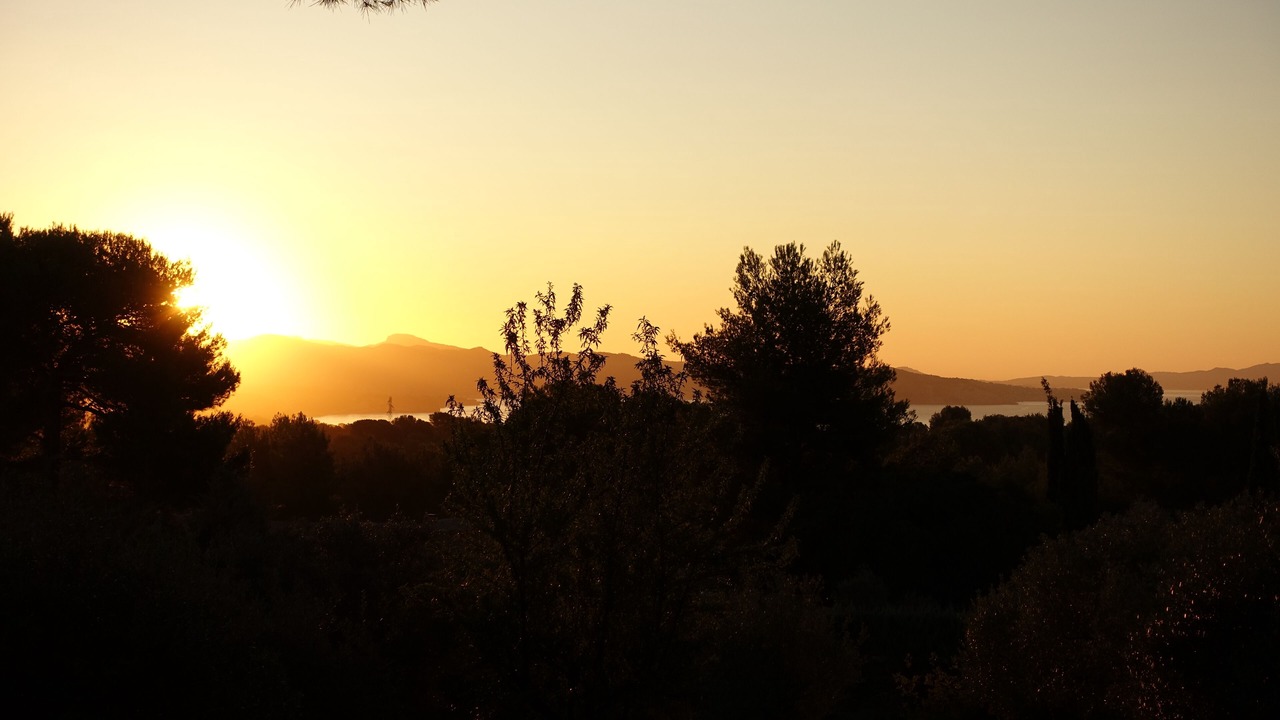 Photo of Others in La Ciotat