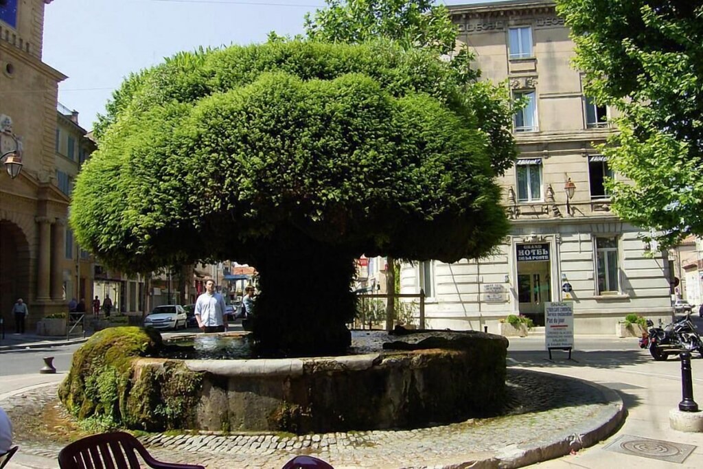 Photo of Others in Salon-de-Provence