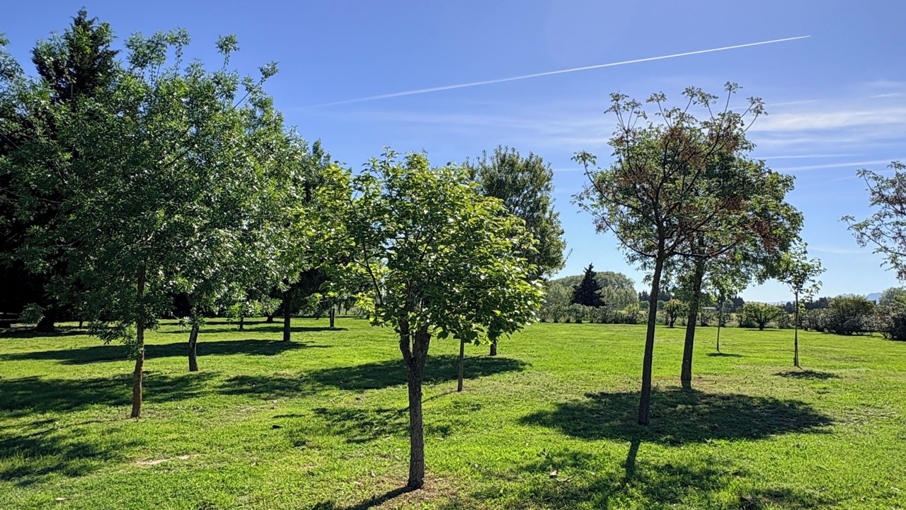 Photo of Others in Maillane