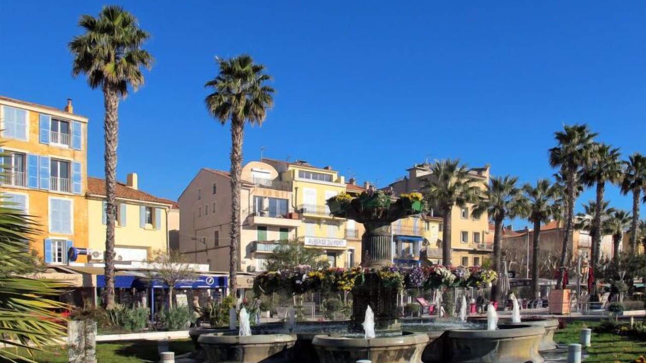 Photo of Others in Bandol