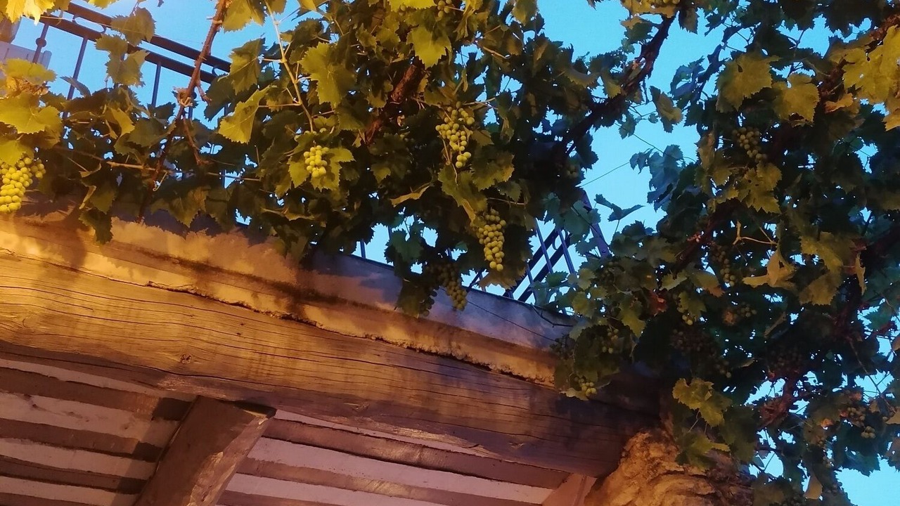Photo of Outdoor in Robion