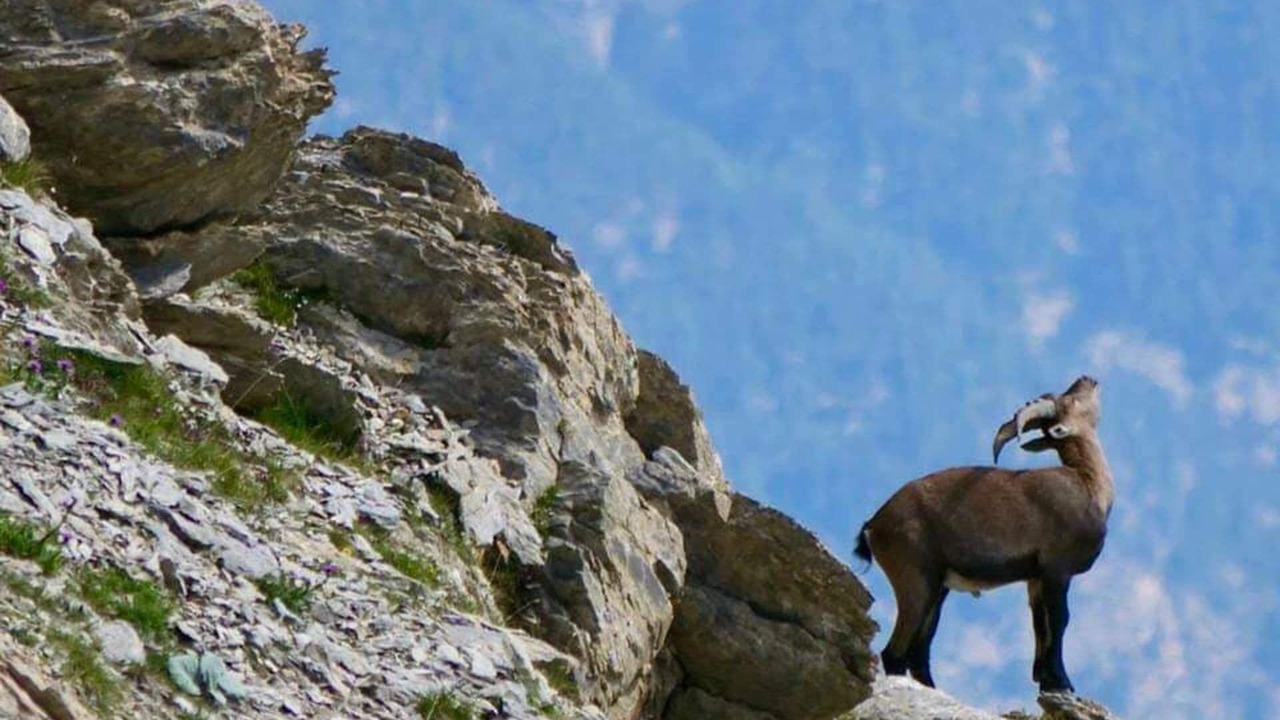 Photo of Outdoor in Le Sauze