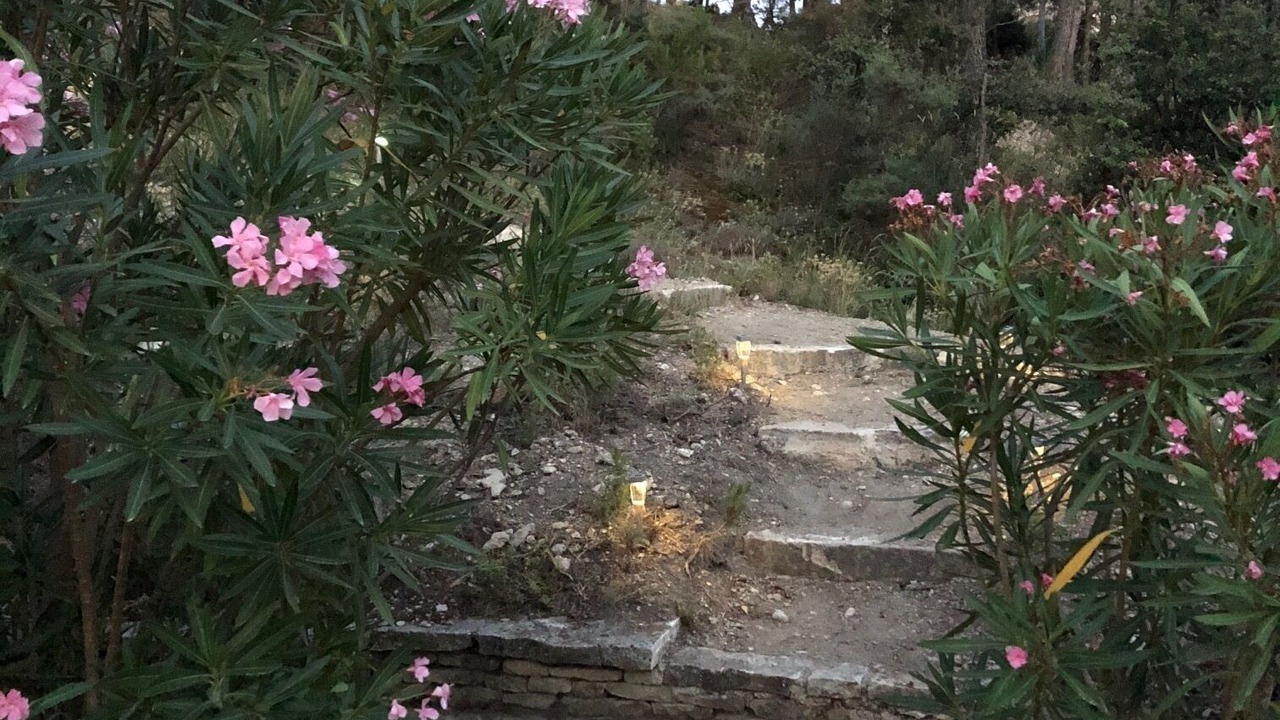 Photo of Outdoor in St.-Remy-de-Provence