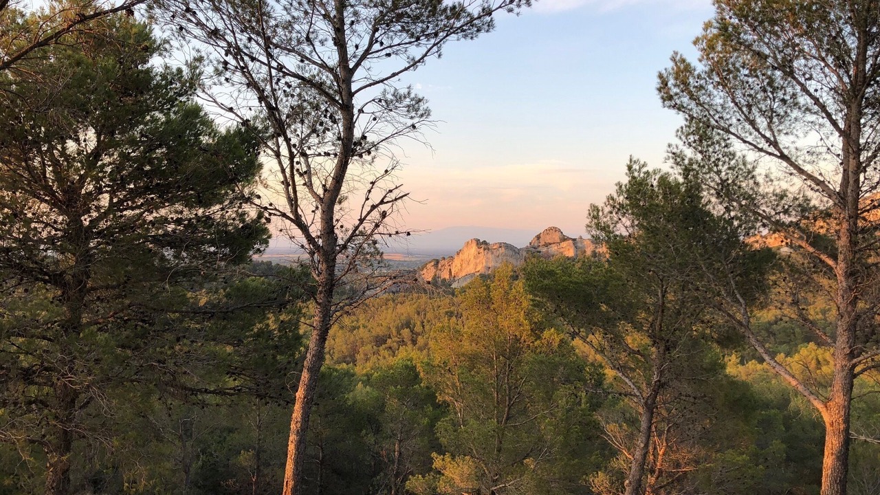 Photo of Outdoor in St.-Remy-de-Provence