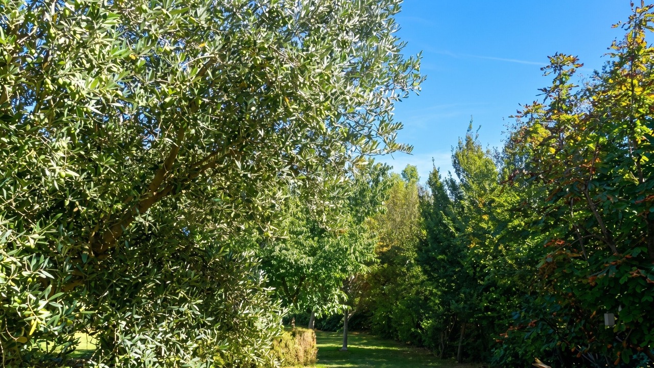 Photo of Outdoor in Arles