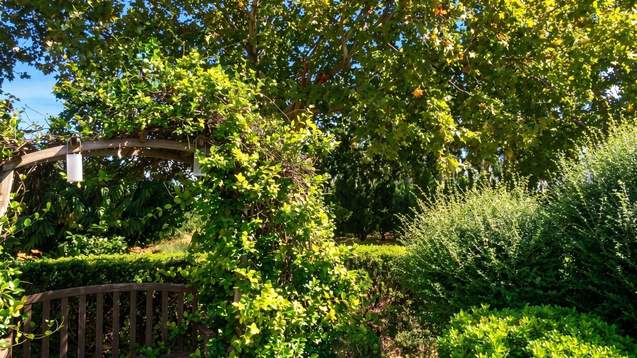 Photo of Outdoor in Arles