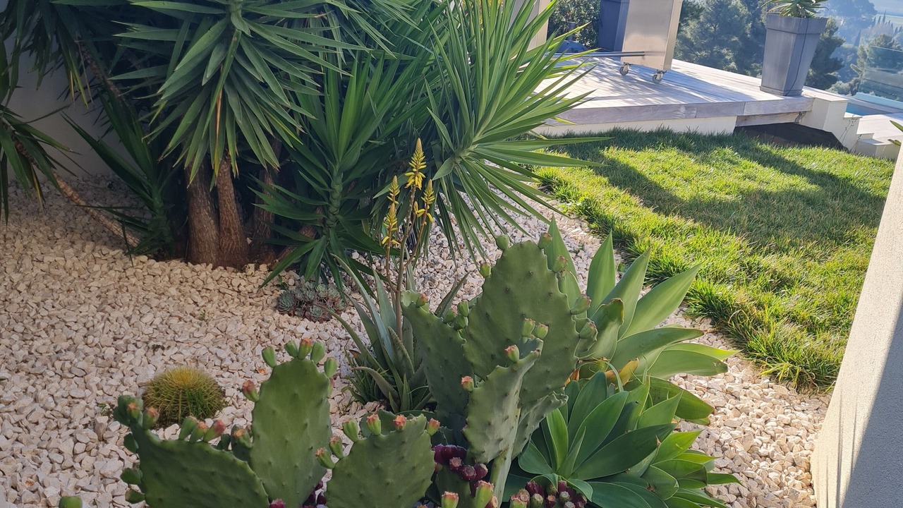 Photo of Outdoor in La Cadiere-d'Azur