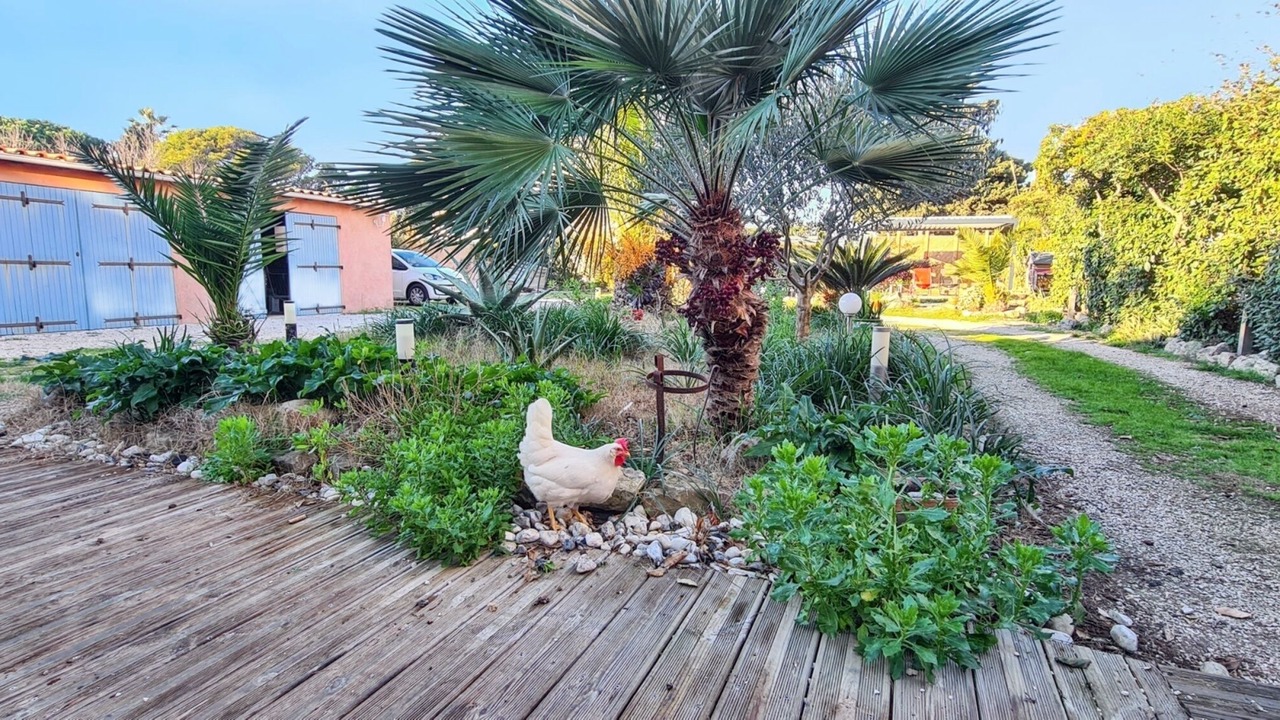 Photo of Outdoor in Giens