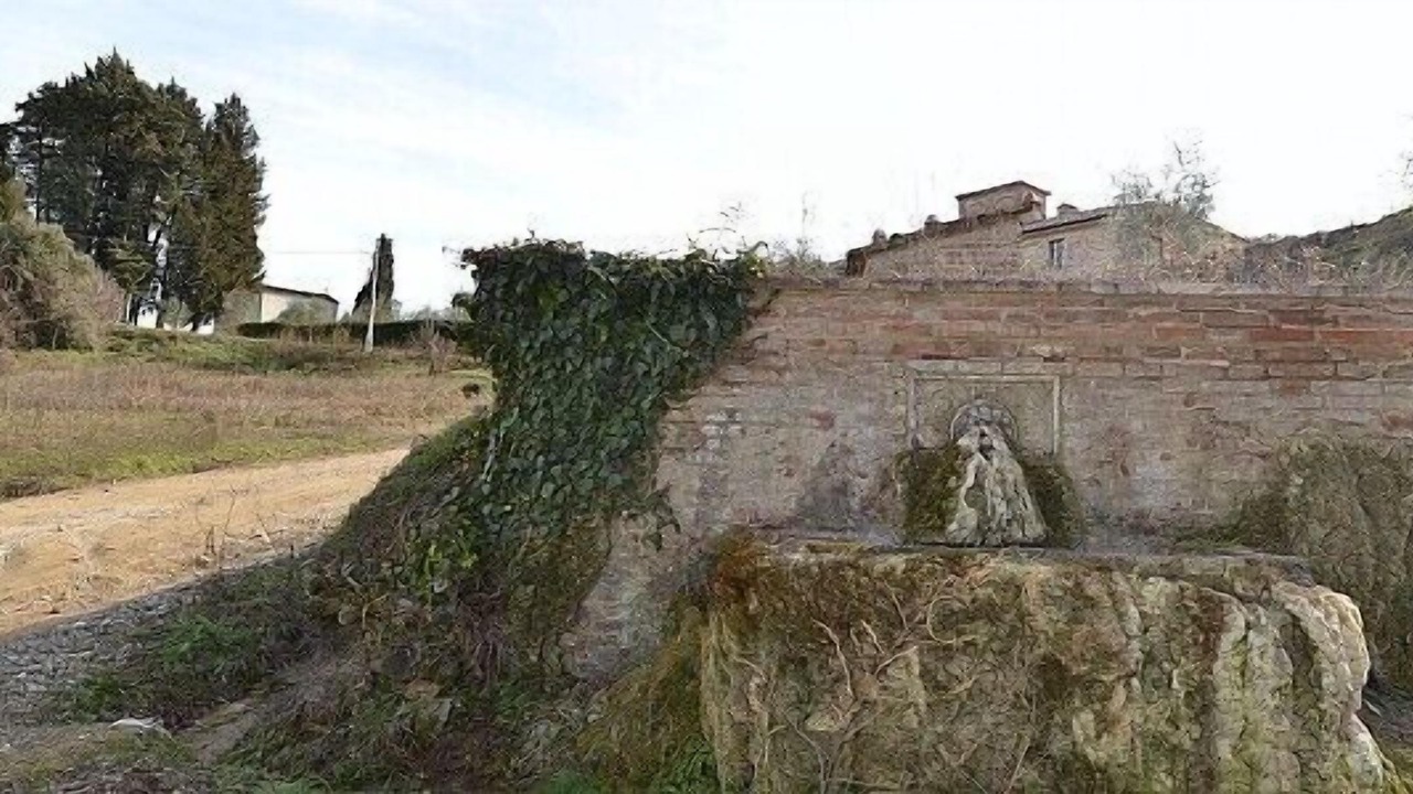 Photo of Outdoor in Rapolano Terme