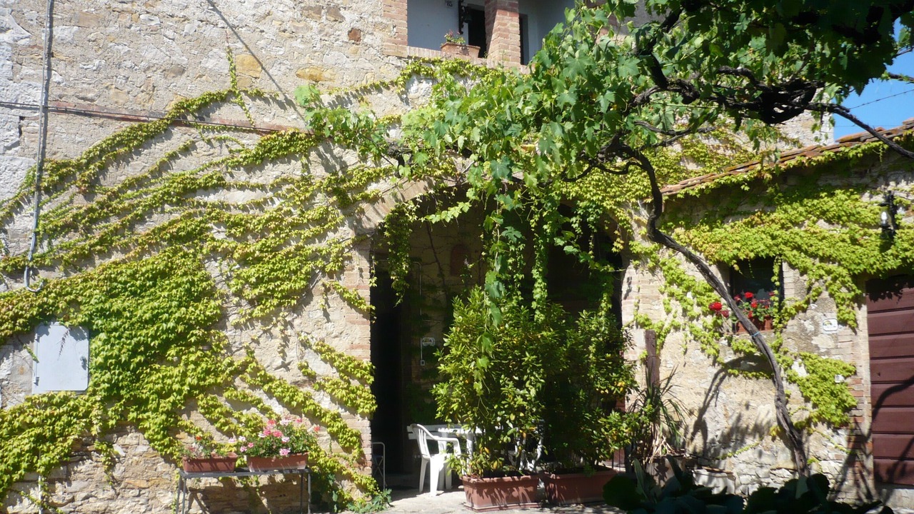 Photo of Outdoor in Castellina in Chianti