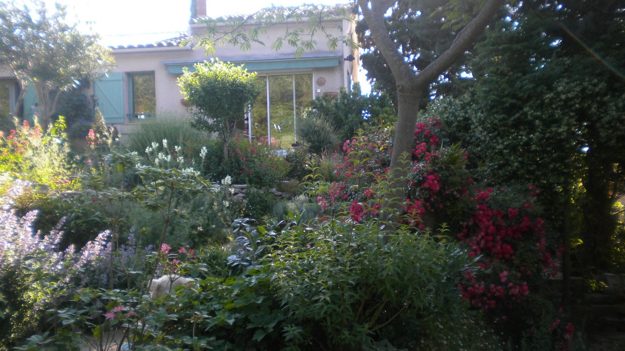 Photo of Outdoor in Saint-Gilles