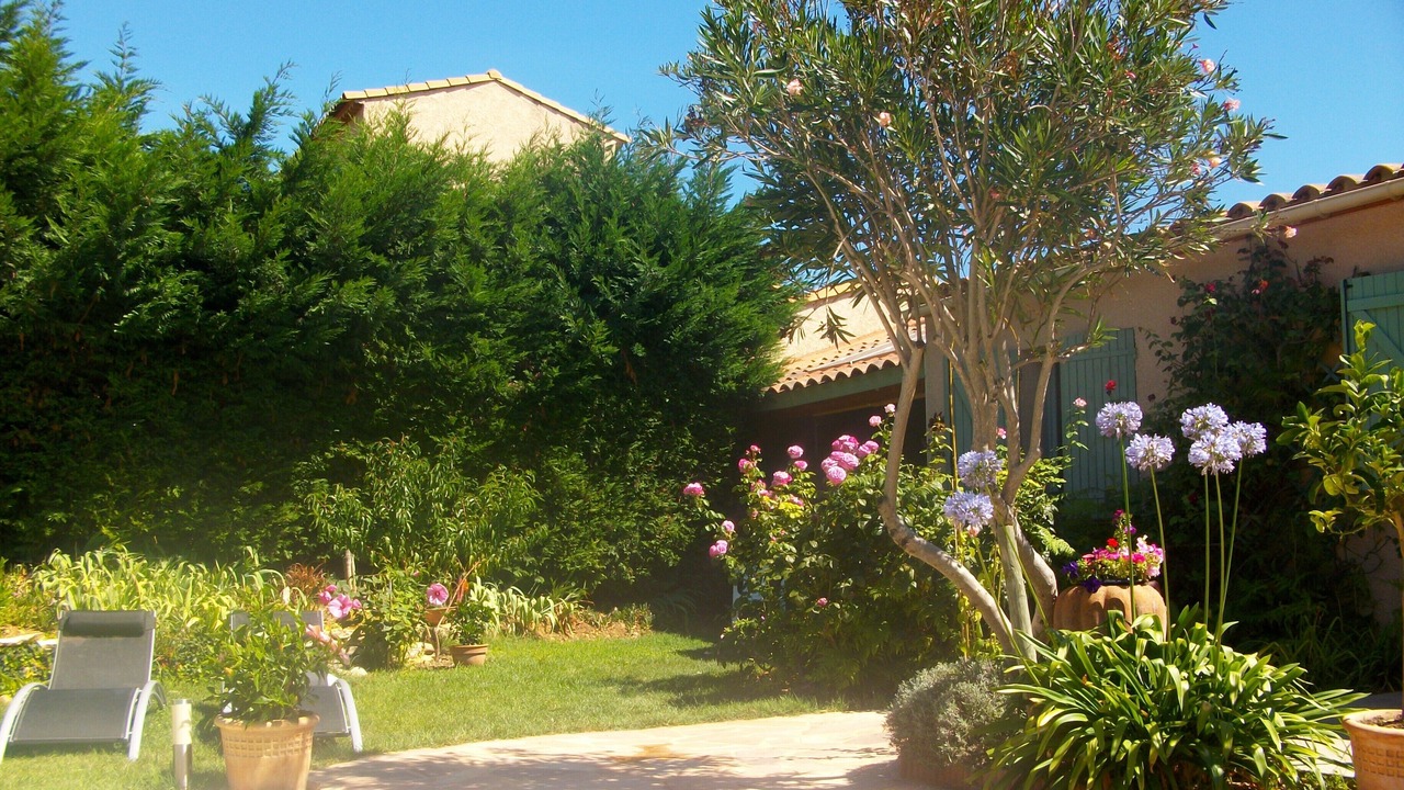 Photo of Outdoor in Saint-Gilles