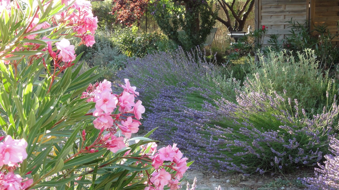 Photo of Outdoor in Bonnieux