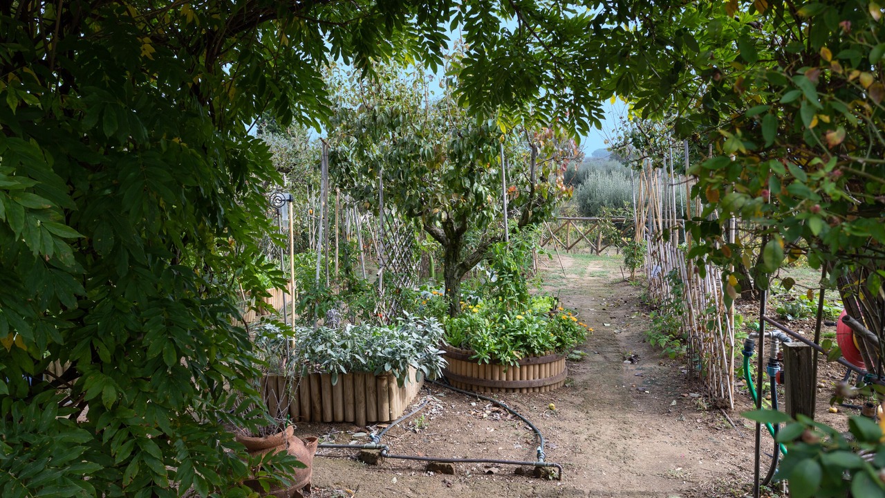 Photo of Outdoor in Paciano