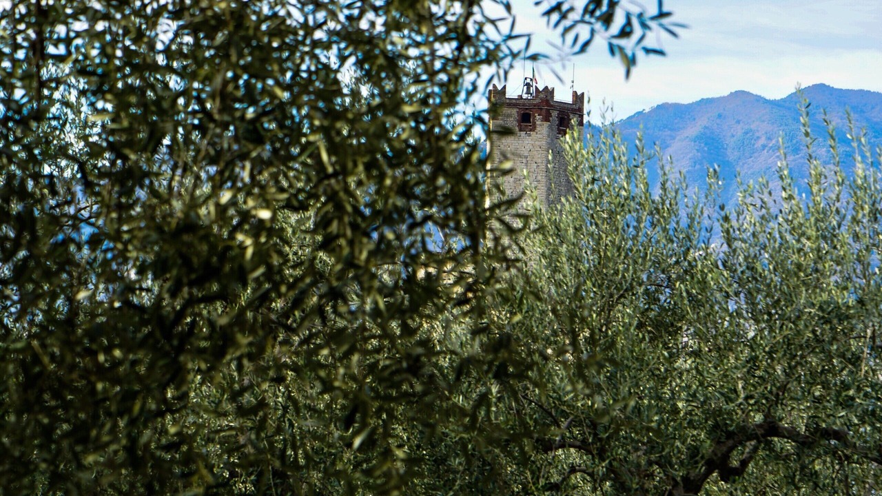 Photo of Others in Malcesine