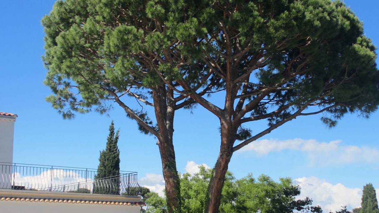 Photo of Outdoor in Cap-d'Antibes
