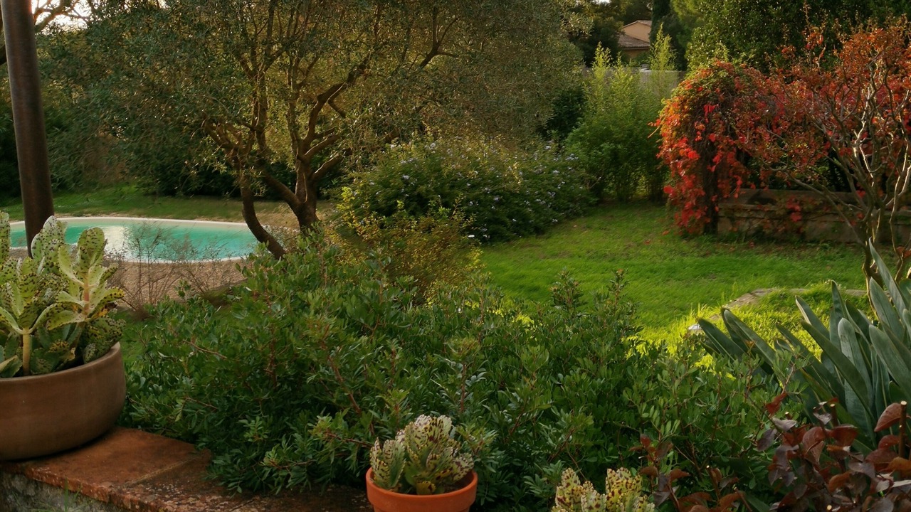 Photo of Outdoor in Ramatuelle