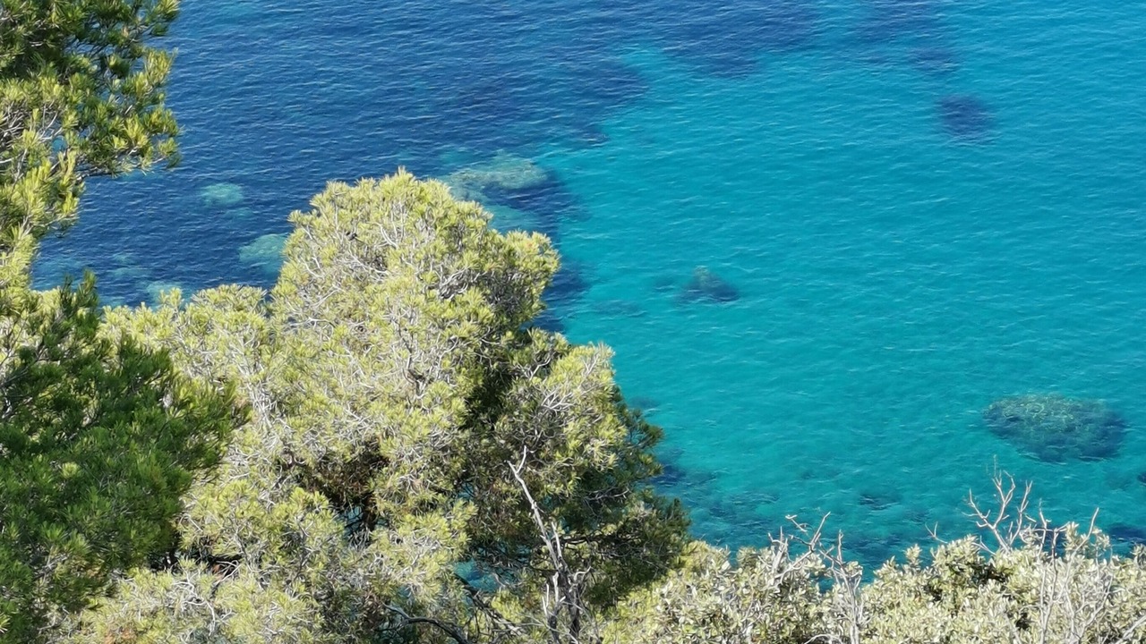 Photo of Outdoor in Ramatuelle