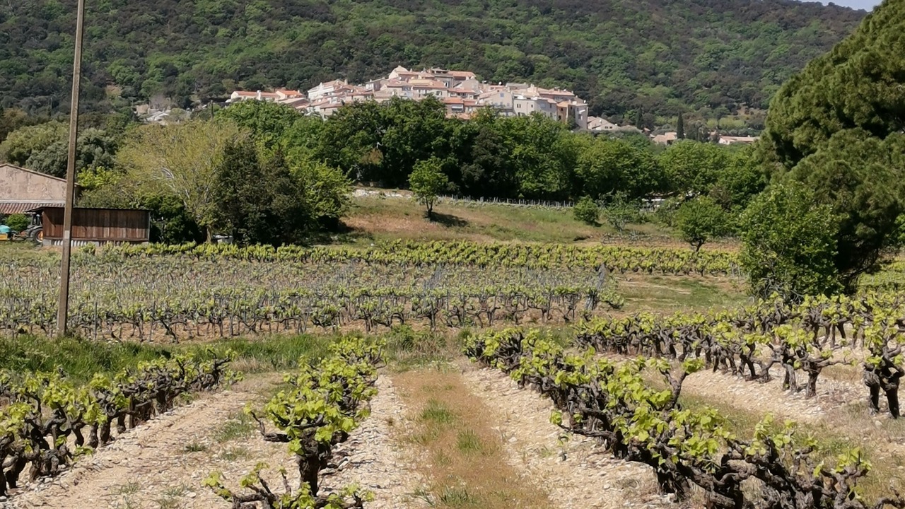 Photo of Others in Ramatuelle
