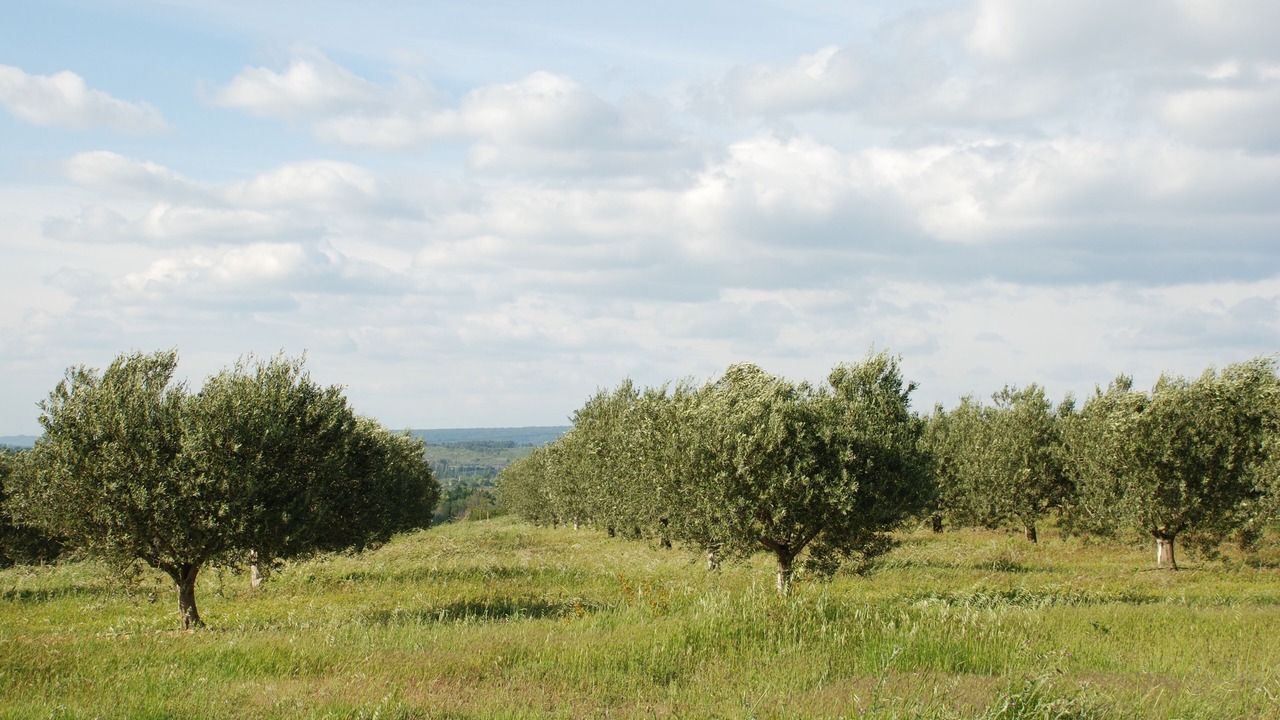 Photo of Outdoor in Arles
