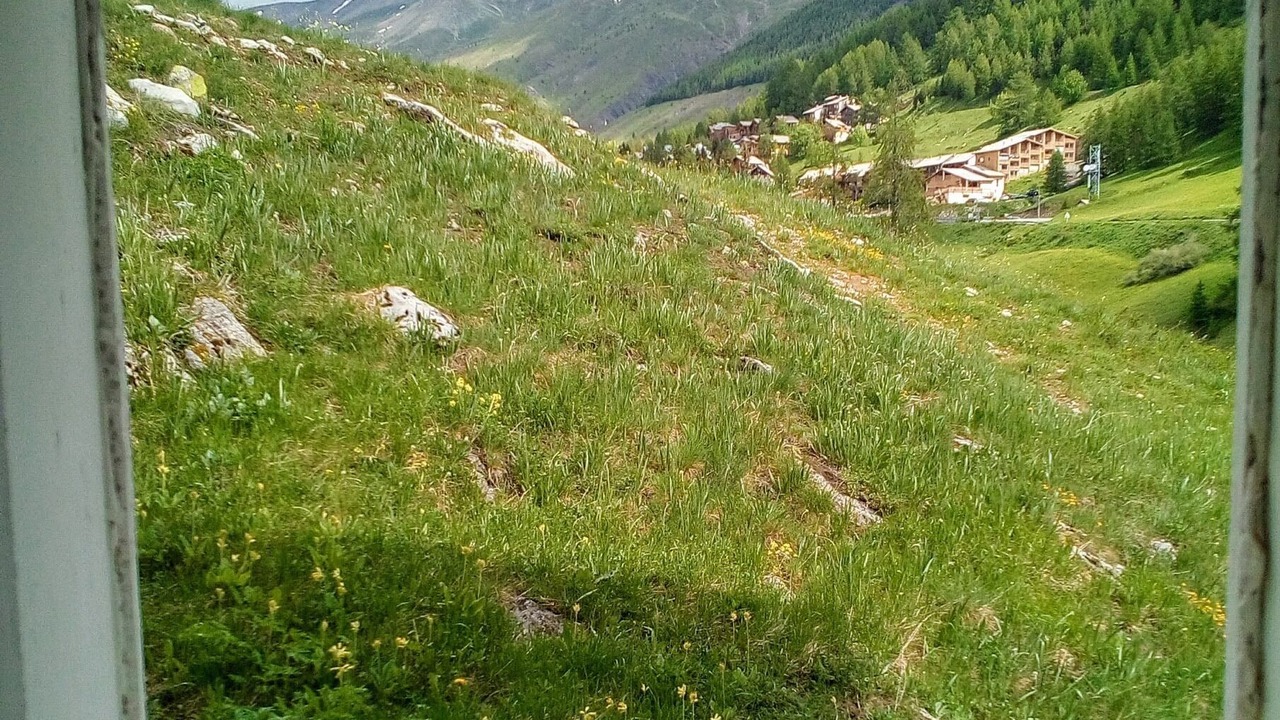 Photo of Others in Allos