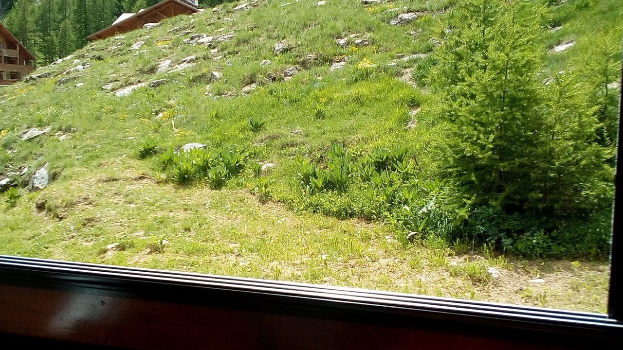 Photo of Others in Allos
