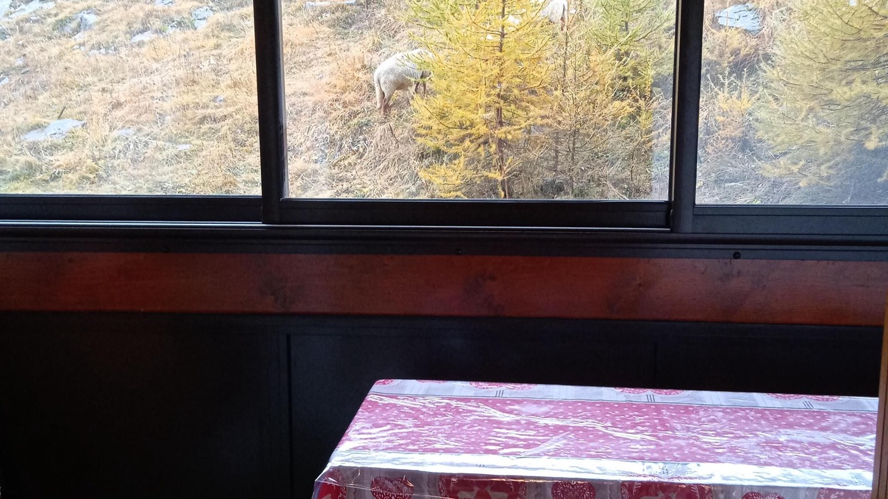 Photo of Others in Allos
