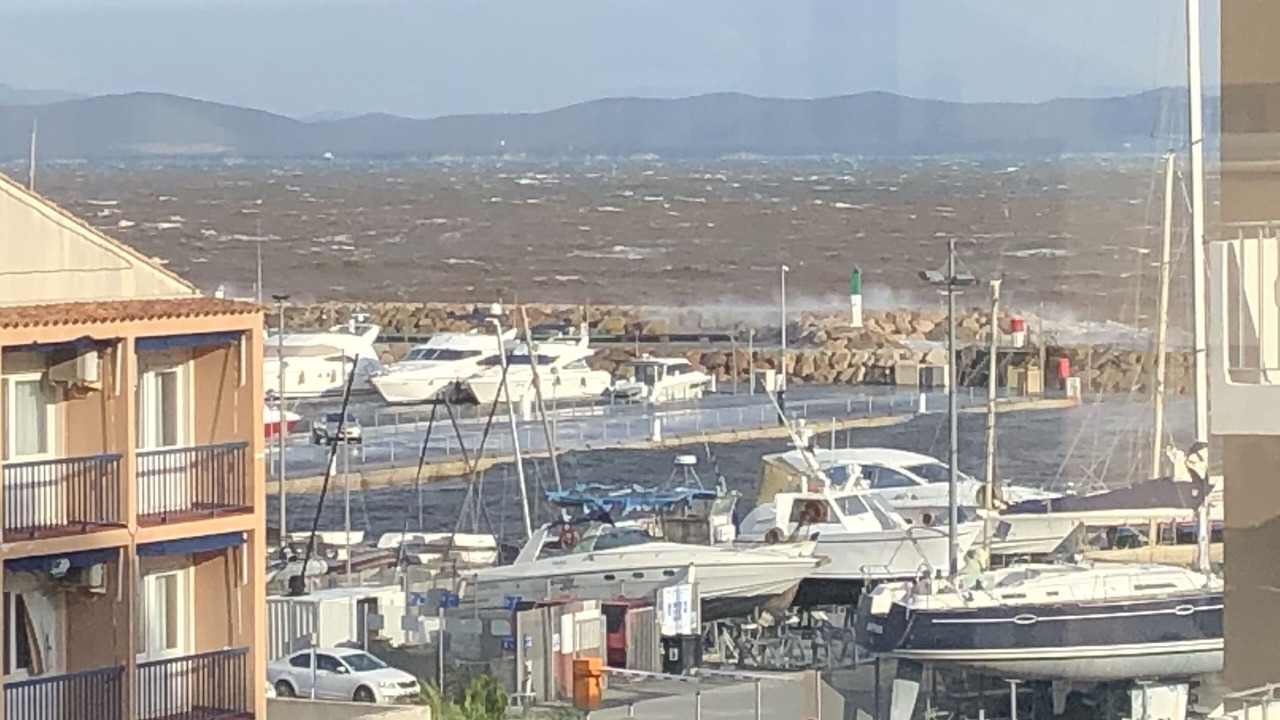Photo of Others in Hyeres