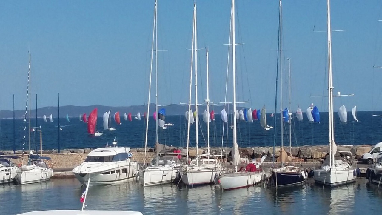 Photo of Others in Hyeres