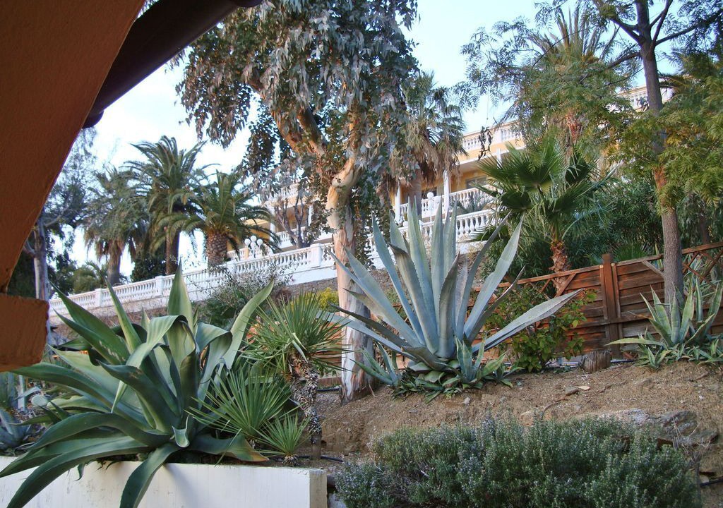 Photo of Outdoor in Bormes-Les-Mimosas