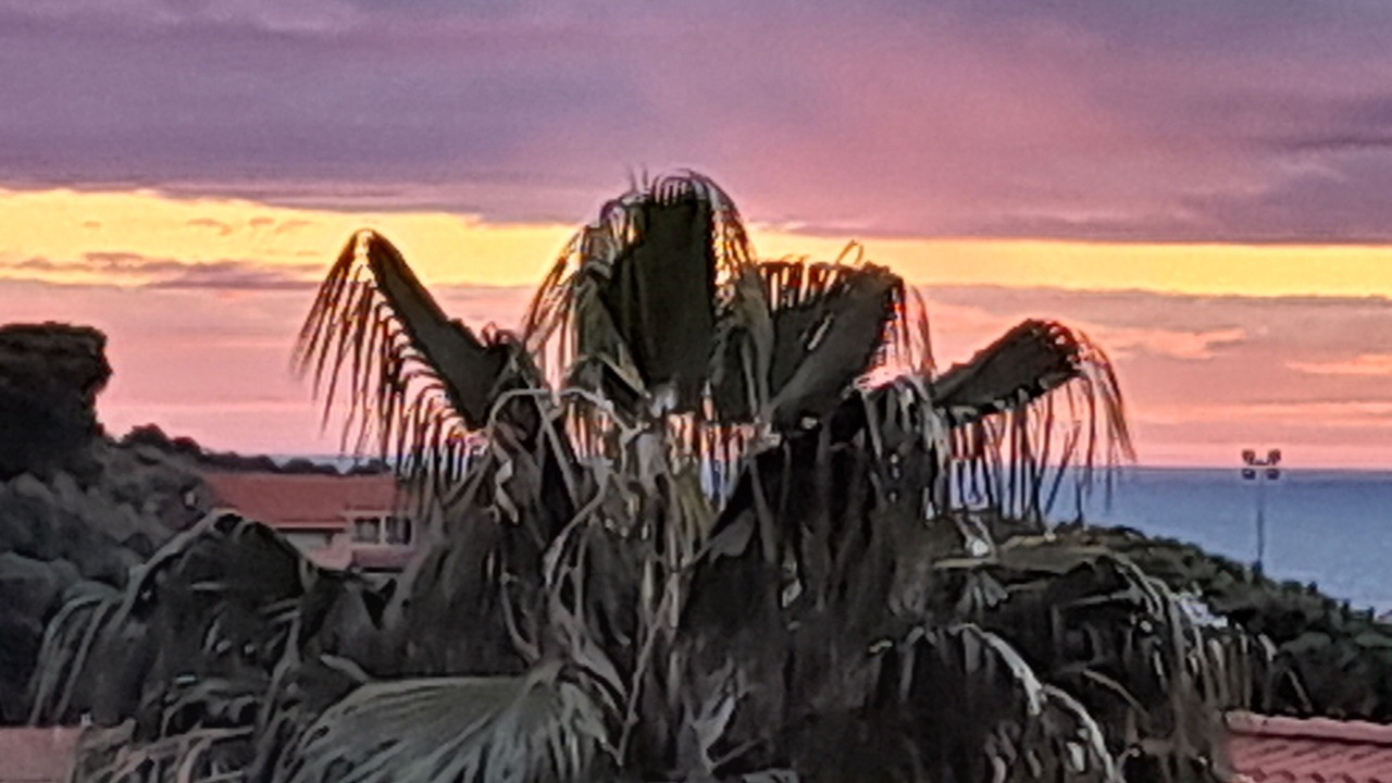 Photo of Others in Collioure
