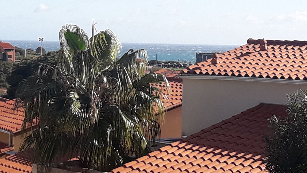 Photo of Others in Collioure