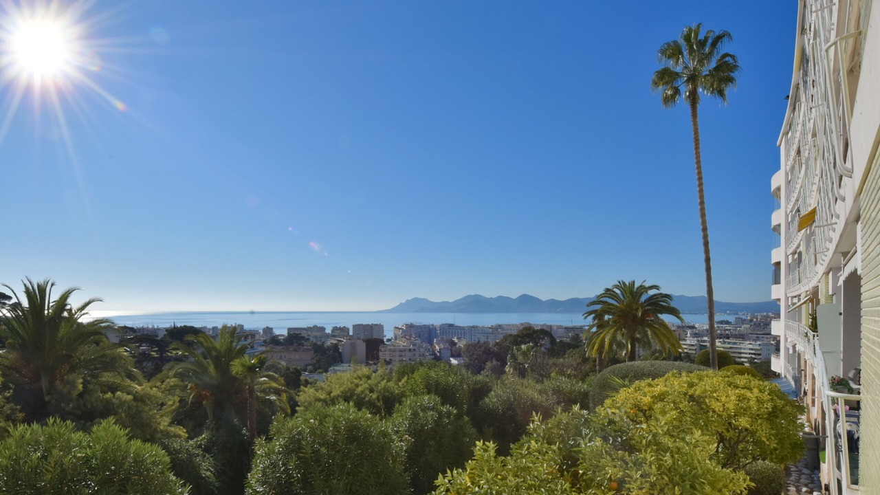 Photo of Outdoor in California - Pezou