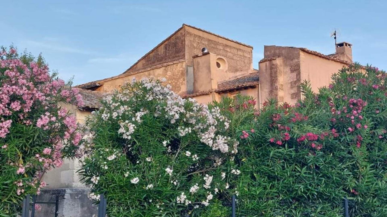 Photo of Others in Maussane-les-Alpilles