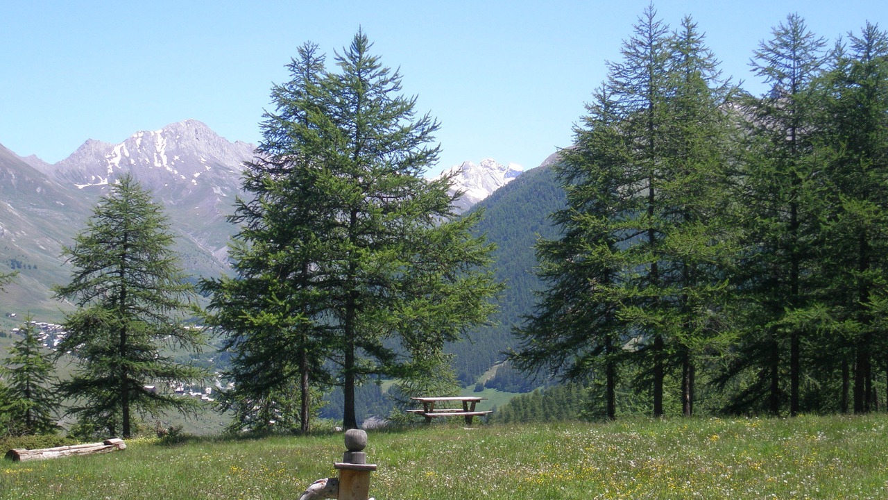 Photo of Others in Molines-en-Queyras