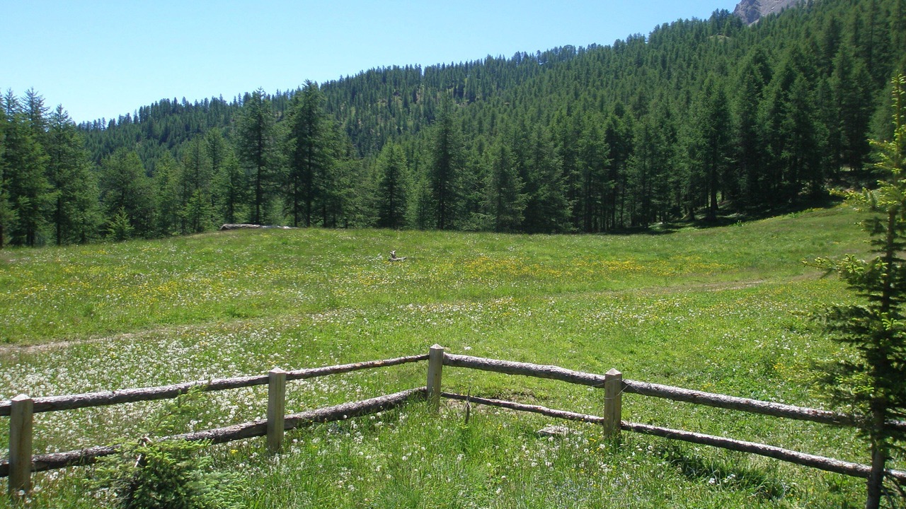 Photo of Others in Molines-en-Queyras