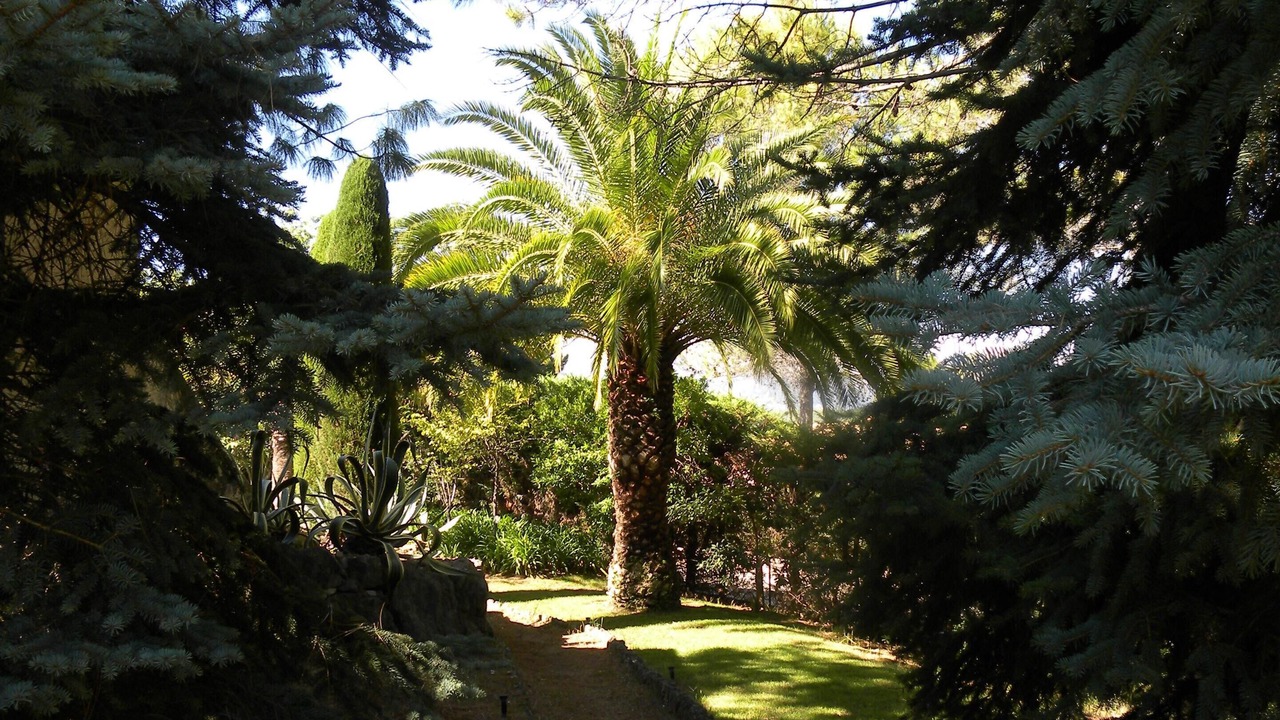 Photo of Outdoor in Roquefort-les-Pins