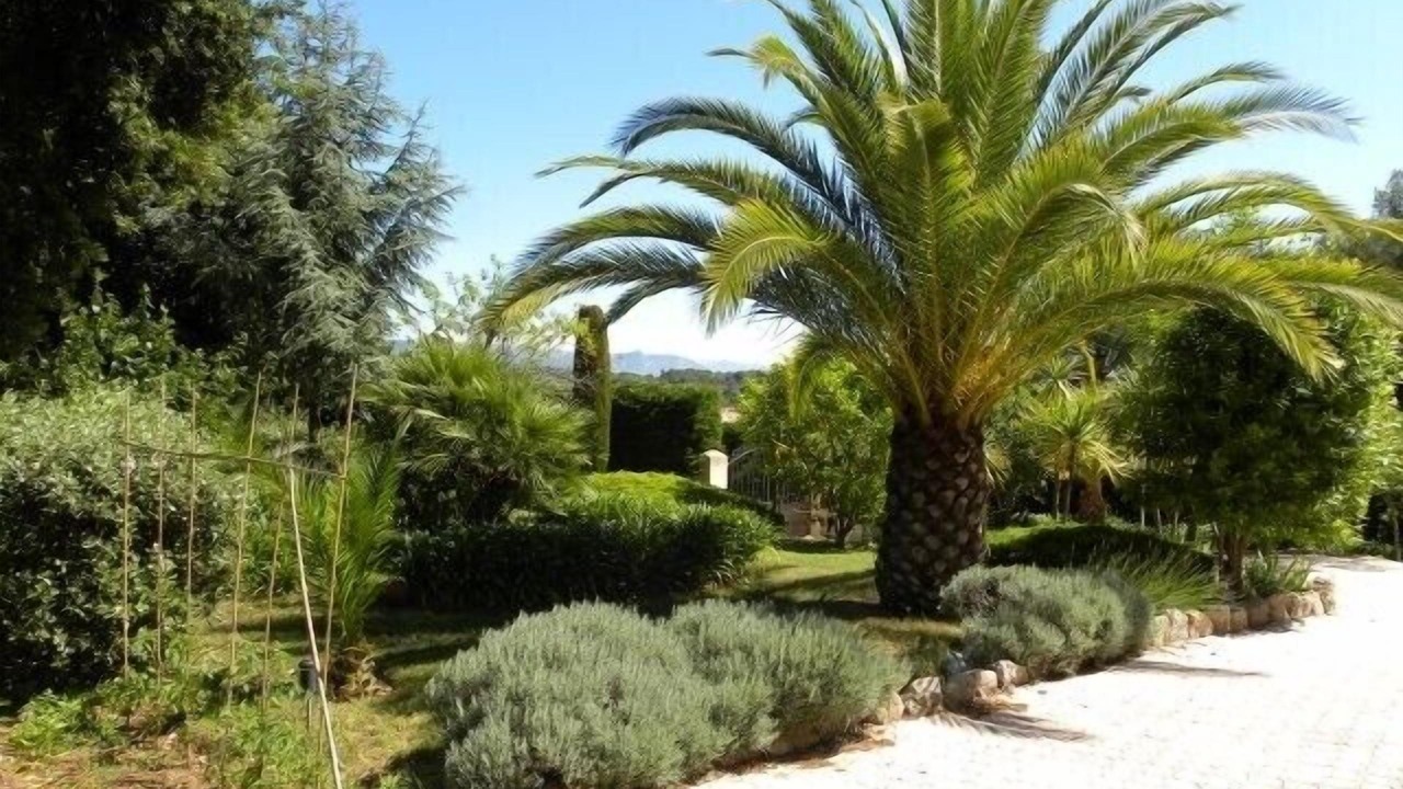 Photo of Others in Roquefort-les-Pins