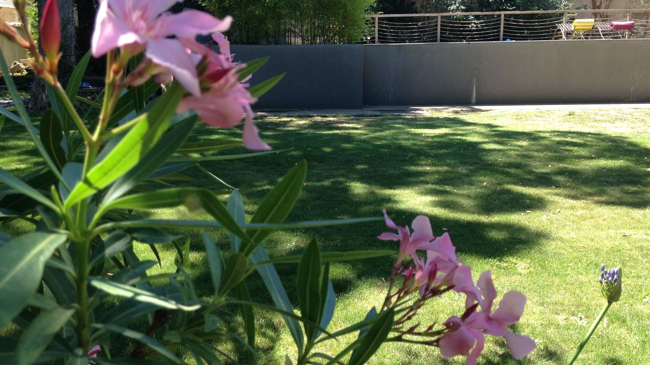 Photo of Outdoor in Gemenos