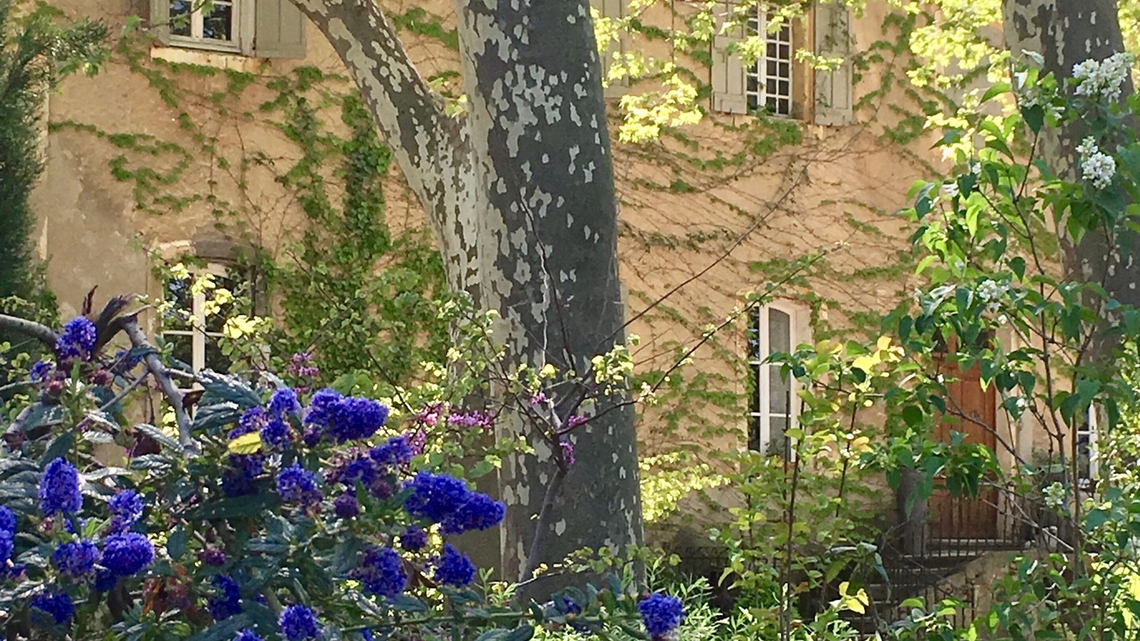 Photo of Outdoor in Gemenos