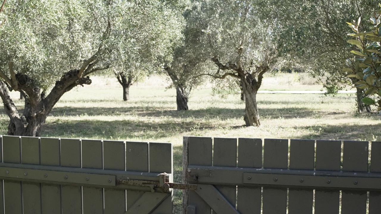 Photo of Outdoor in Maillane
