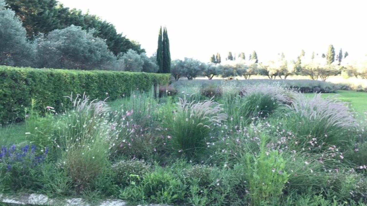 Photo of Outdoor in Maillane
