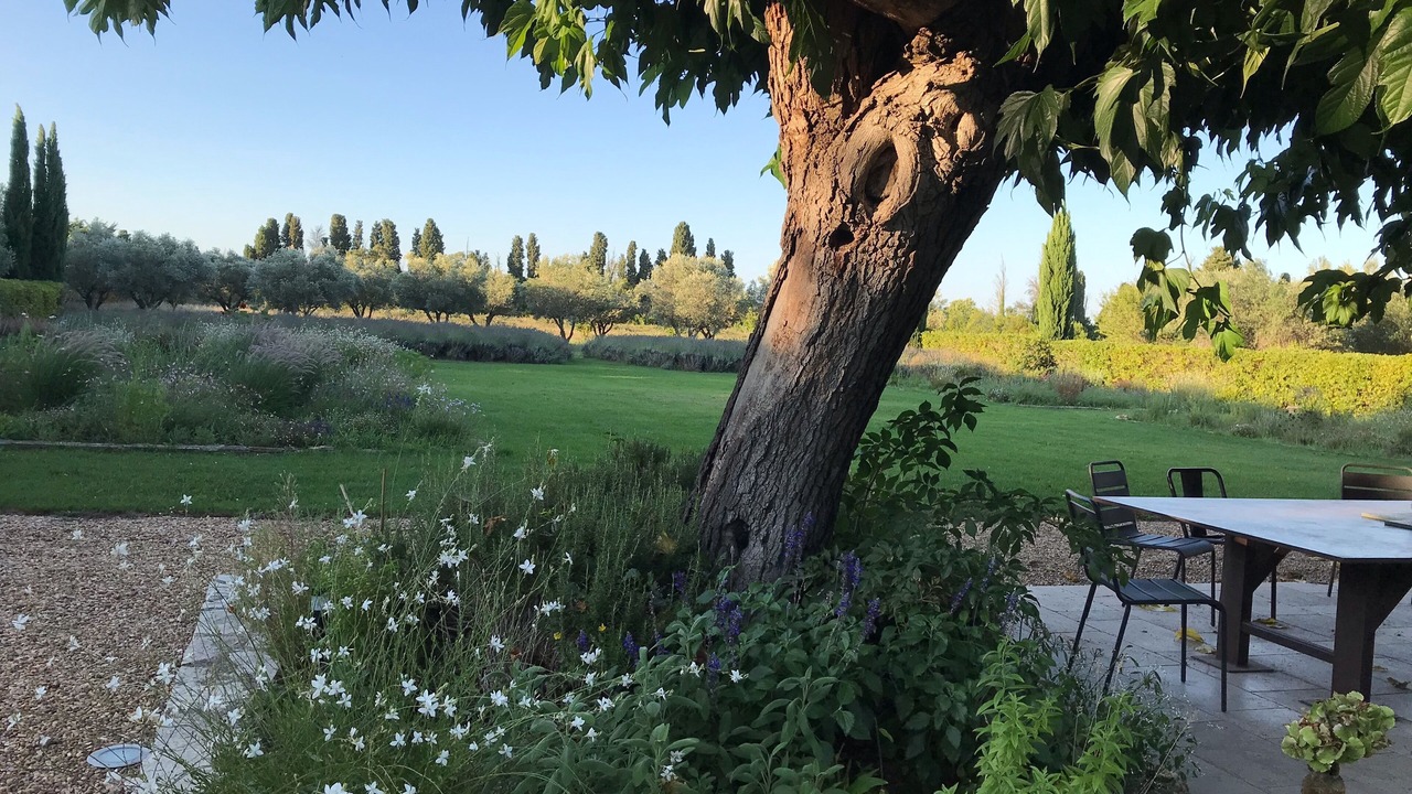 Photo of Outdoor in Maillane
