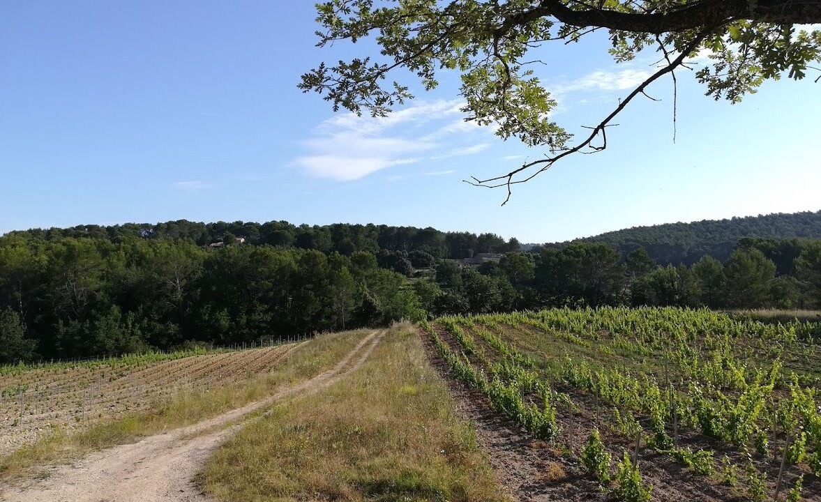 Photo of Outdoor in La Caravane